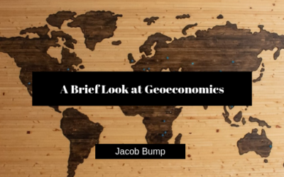 A Brief Look at Geoeconomics