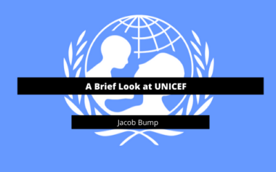 A Brief Look at UNICEF